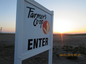 sunrise, Farmer's Coop, Mirage Flats