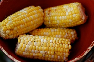 Corn Ears